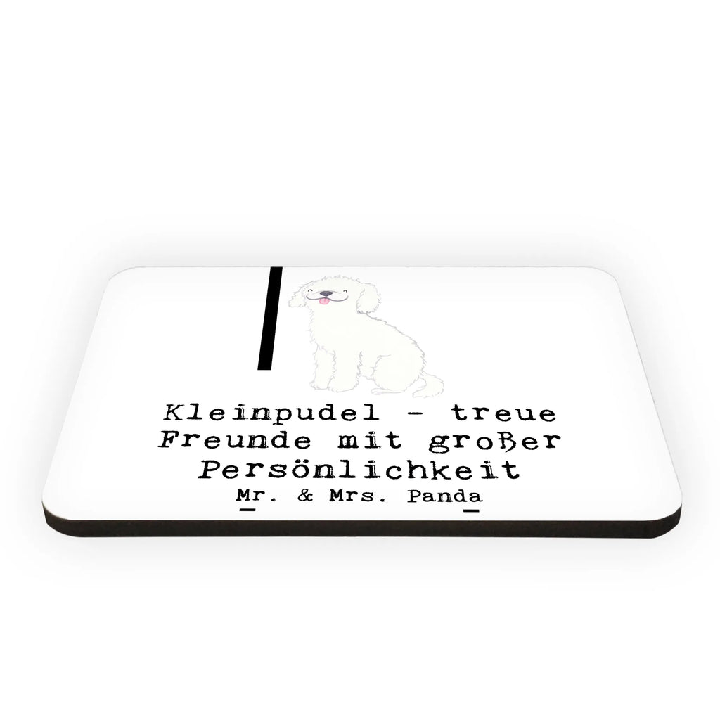 Magnet Kleinpudel Freunde Kühlschrankmagnet, Dekomagnet, Kühlschrank Dekoration, Motivmagnete, Whiteboard Magnet, Souvenir Magnet, Notiz Magnet, Pinnwandmagnet, Hund, Hunderasse, Rassehund, Hundebesitzer, Geschenk, Tierfreund, Schenken, Welpe