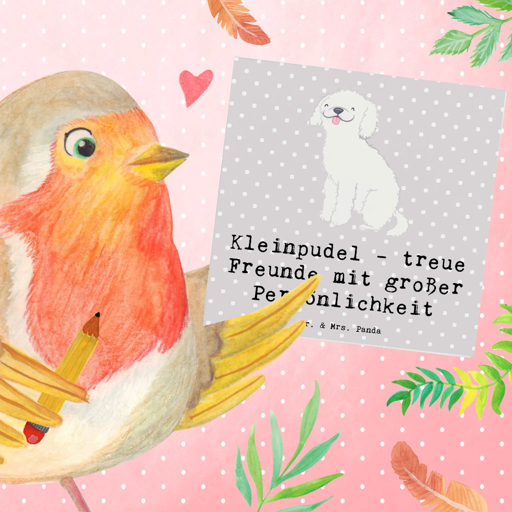 Deluxe Karte Kleinpudel Freunde Geburtstagskarte, Hochzeitskarte, Karte, Einladungskarte, Hochwertige Klappkarte, Grußkarte, Hochwertige Grußkarte, Glückwunschkarte, Klappkarte, Hund, Hunderasse, Rassehund, Hundebesitzer, Geschenk, Tierfreund, Schenken, Welpe