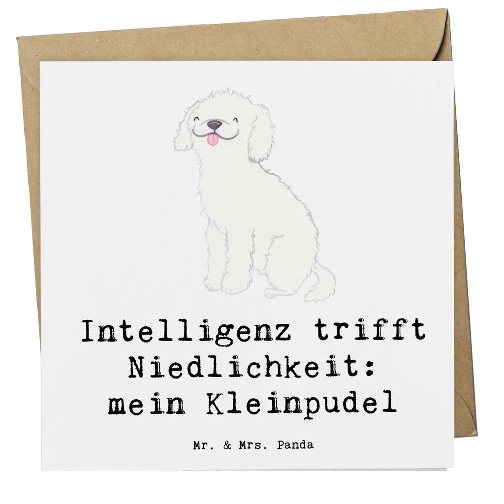 Deluxe Karte Niedlicher Kleinpudel Klappkarte, Karte, Grußkarte, Glückwunschkarte, Hochzeitskarte, Hochwertige Klappkarte, Einladungskarte, Hochwertige Grußkarte, Geburtstagskarte, Hund, Hunderasse, Rassehund, Hundebesitzer, Geschenk, Tierfreund, Schenken, Welpe