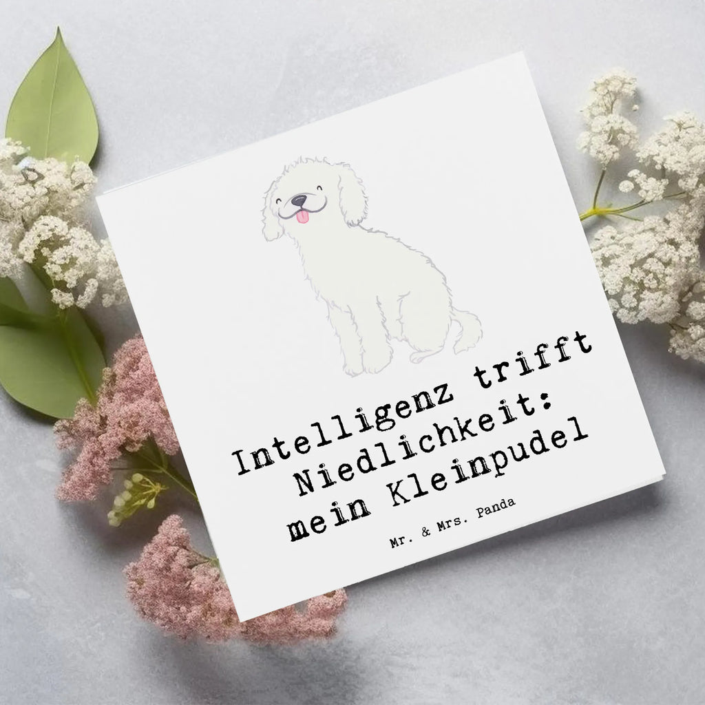 Deluxe Karte Niedlicher Kleinpudel Klappkarte, Karte, Grußkarte, Glückwunschkarte, Hochzeitskarte, Hochwertige Klappkarte, Einladungskarte, Hochwertige Grußkarte, Geburtstagskarte, Hund, Hunderasse, Rassehund, Hundebesitzer, Geschenk, Tierfreund, Schenken, Welpe