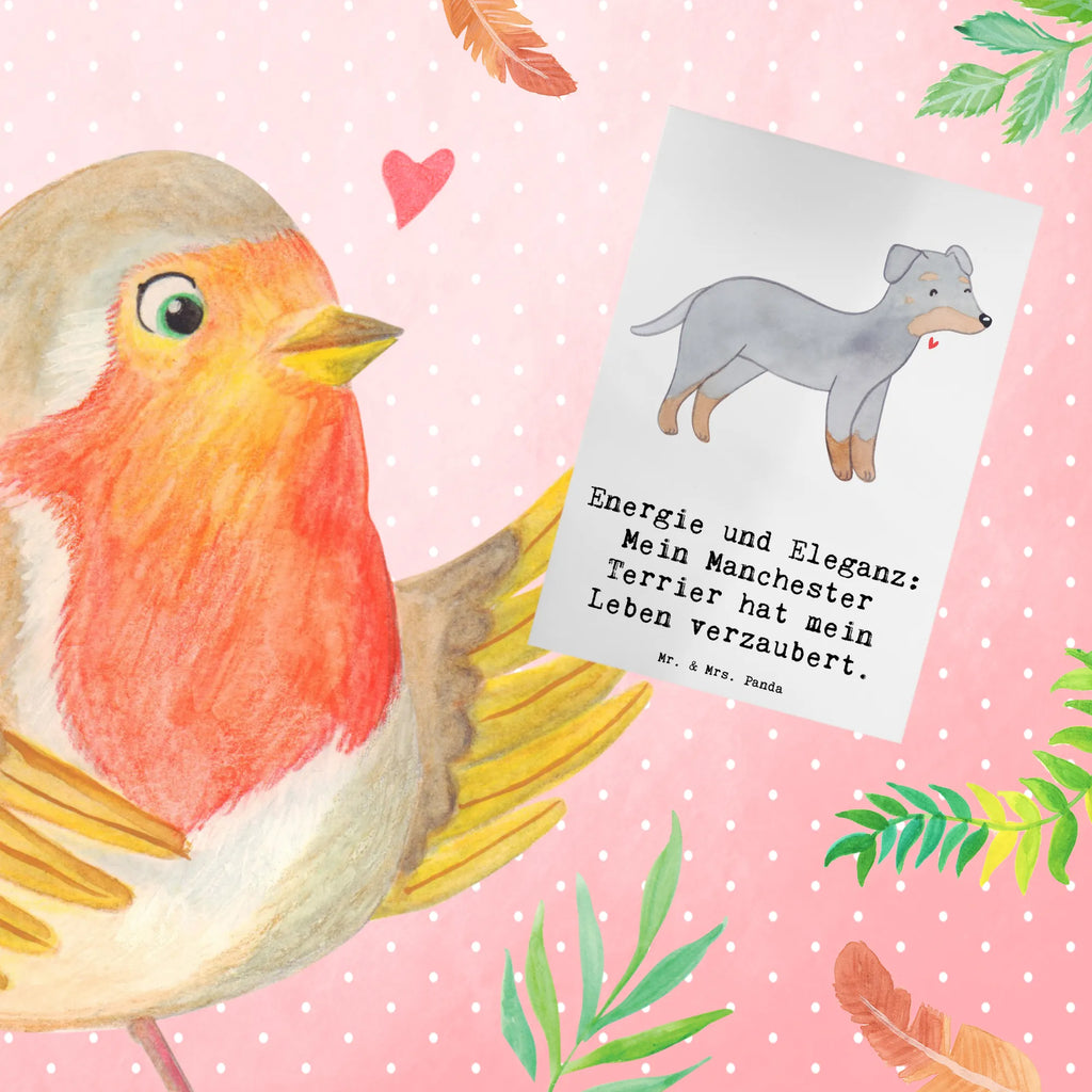 Greetings card Energie und Eleganz: Mein Manchester Terrier hat mein Leben verzaubert. Einladungskarte, Geburtstagskarte, Karte, Grußkarte, Ansichtskarten, Klappkarte, Glückwunschkarte, Hochzeitskarte, Hund, Hunderasse, Rassehund, Hundebesitzer, Geschenk, Tierfreund, Schenken, Welpe