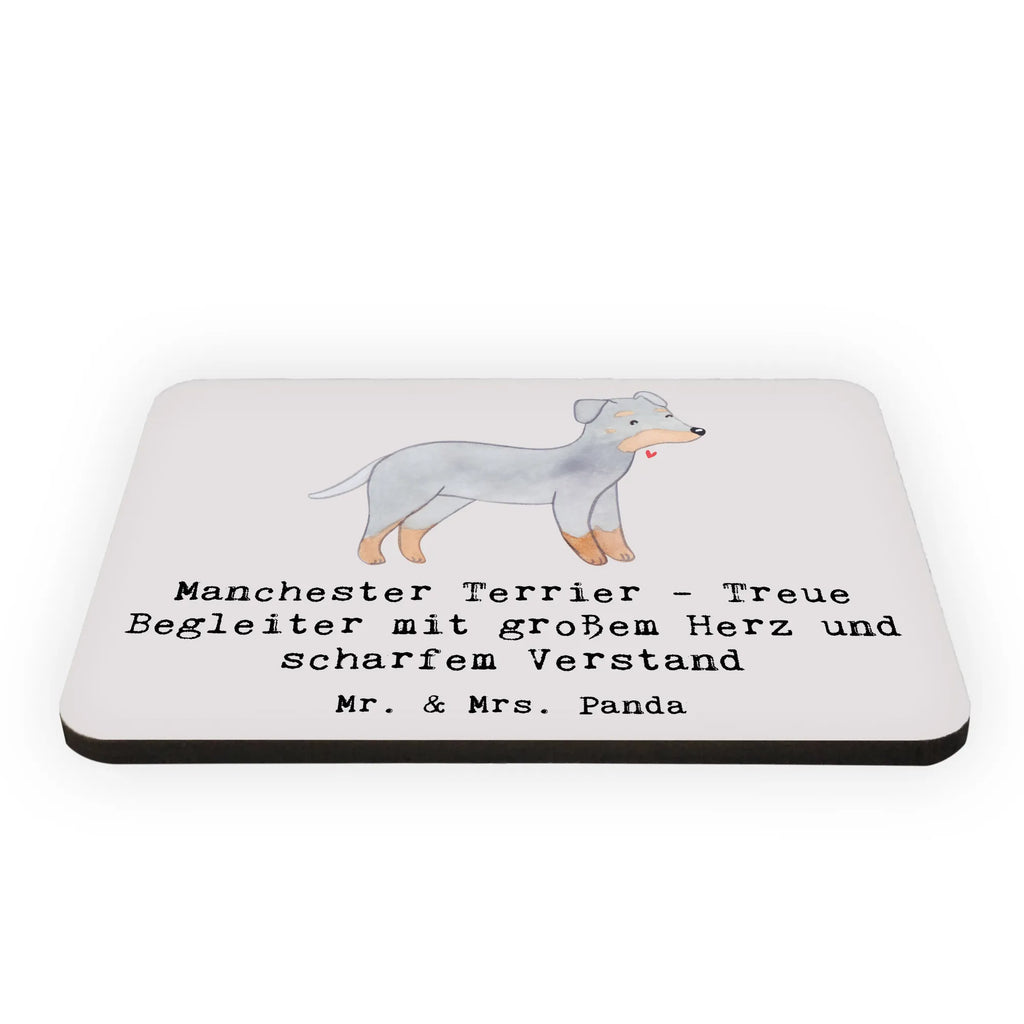 Magnet Manchester Terrier Begleiter Whiteboard Magnet, Motivmagnete, Kühlschrankmagnet, Souvenir Magnet, Kühlschrank Dekoration, Notiz Magnet, Pinnwandmagnet, Dekomagnet, Hund, Hunderasse, Rassehund, Hundebesitzer, Geschenk, Tierfreund, Schenken, Welpe