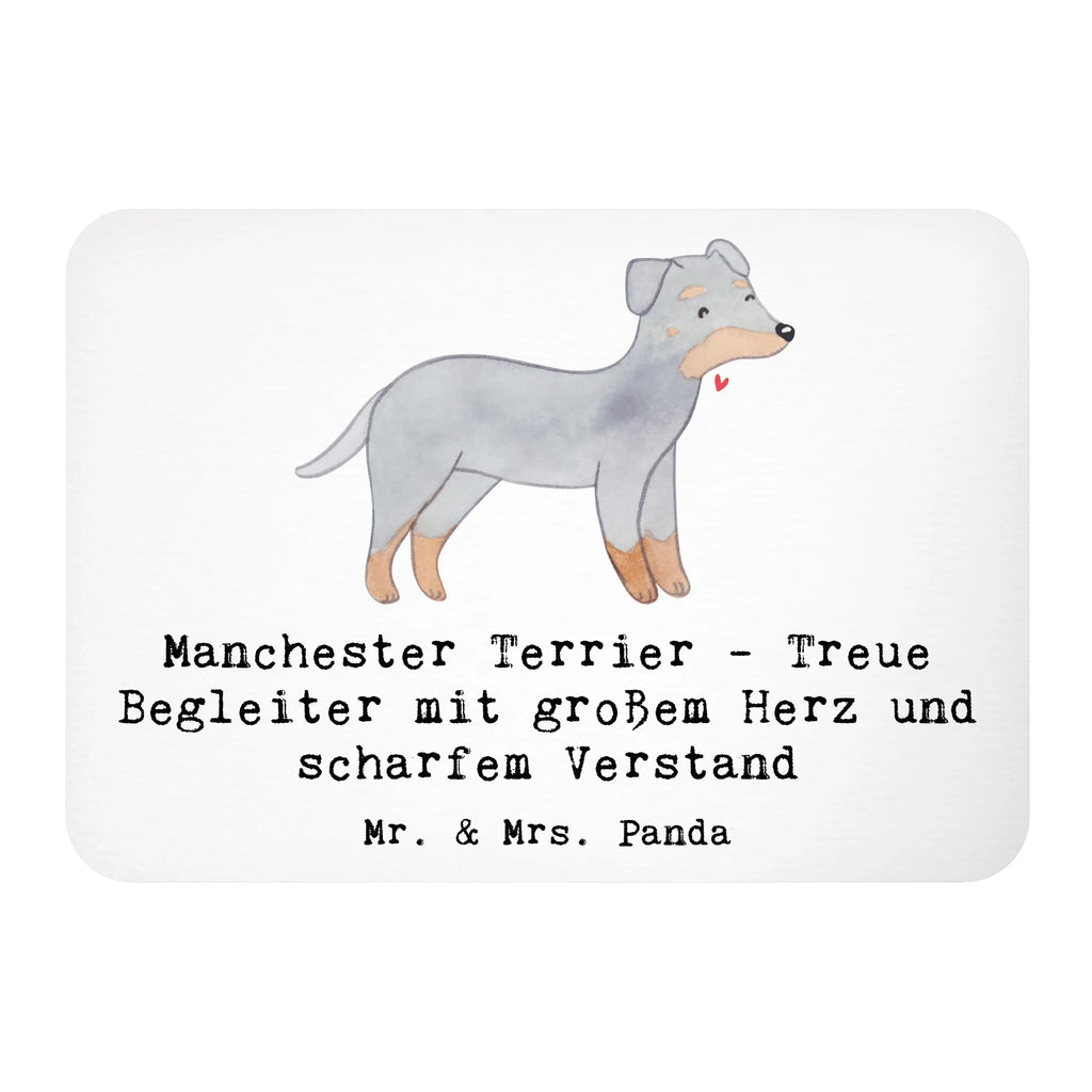 Magnet Manchester Terrier Begleiter Whiteboard Magnet, Motivmagnete, Kühlschrankmagnet, Souvenir Magnet, Kühlschrank Dekoration, Notiz Magnet, Pinnwandmagnet, Dekomagnet, Hund, Hunderasse, Rassehund, Hundebesitzer, Geschenk, Tierfreund, Schenken, Welpe