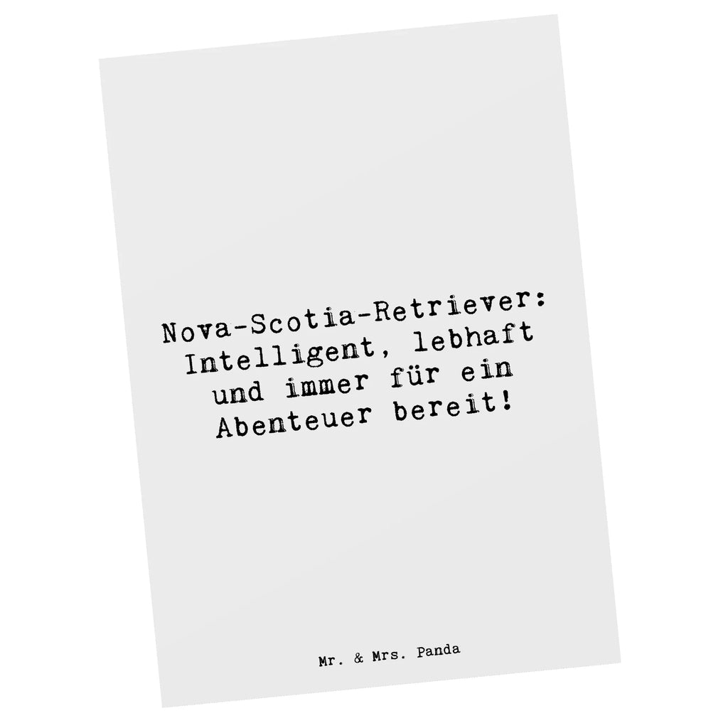 Postkarte Spruch Nova Scotia Duck Grußkarte, Geschenkkarte, Ansichtskarte, Karte, Postkarte, Geburtstagskarte, Einladung, Ansichtskarten, Dankeskarte, Einladungskarten Geburtstag, Einladungskarte, Einladung Geburtstag, Hund, Hunderasse, Rassehund, Hundebesitzer, Geschenk, Tierfreund, Schenken, Welpe