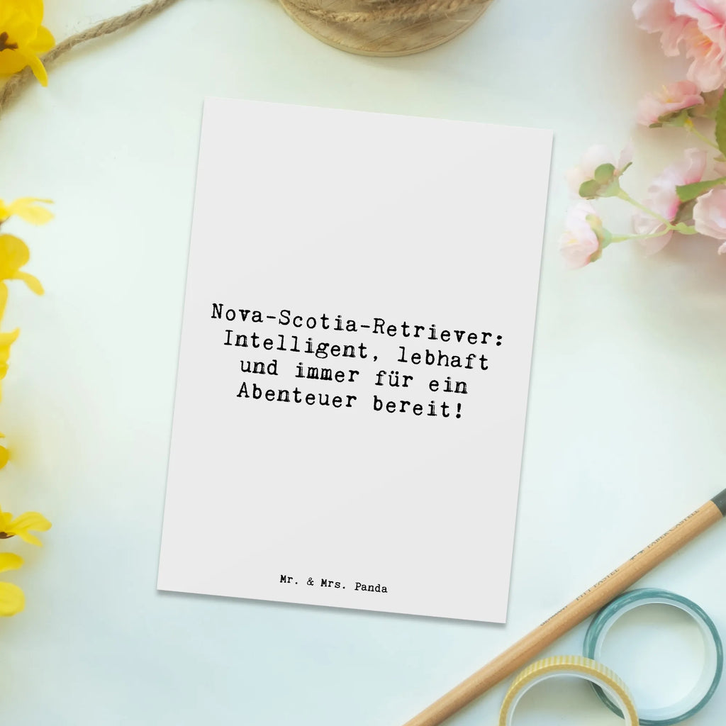 Postkarte Spruch Nova Scotia Duck Grußkarte, Geschenkkarte, Ansichtskarte, Karte, Postkarte, Geburtstagskarte, Einladung, Ansichtskarten, Dankeskarte, Einladungskarten Geburtstag, Einladungskarte, Einladung Geburtstag, Hund, Hunderasse, Rassehund, Hundebesitzer, Geschenk, Tierfreund, Schenken, Welpe