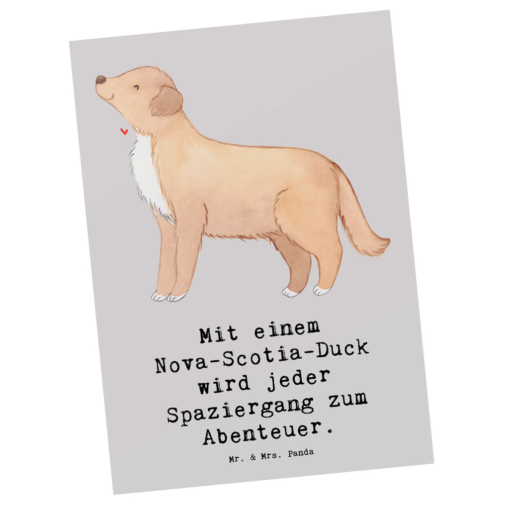 Postkarte Nova Scotia Duck Abenteuer Einladung, Einladungskarten Geburtstag, Ansichtskarte, Dankeskarte, Einladungskarte, Postkarte, Geschenkkarte, Ansichtskarten, Karte, Einladung Geburtstag, Grußkarte, Geburtstagskarte, Hund, Hunderasse, Rassehund, Hundebesitzer, Geschenk, Tierfreund, Schenken, Welpe