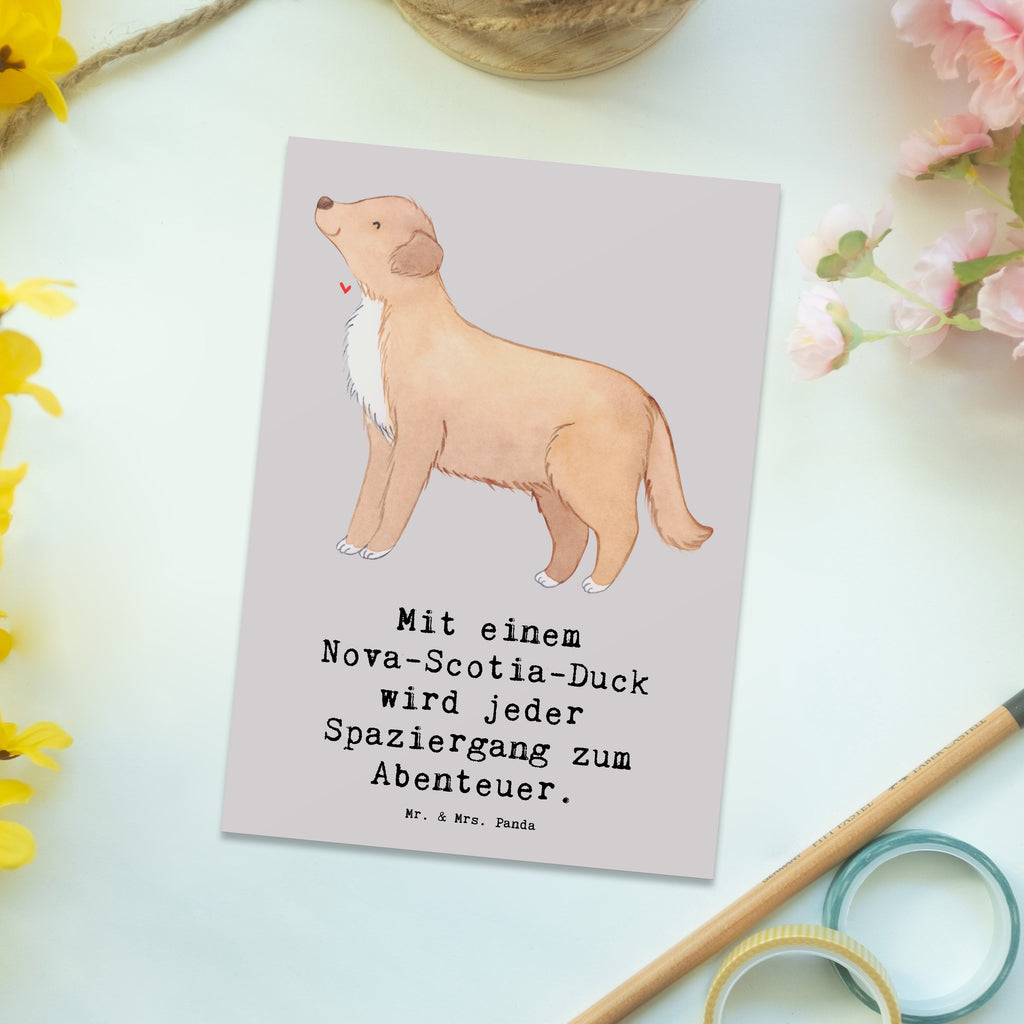 Postkarte Nova Scotia Duck Abenteuer Einladung, Einladungskarten Geburtstag, Ansichtskarte, Dankeskarte, Einladungskarte, Postkarte, Geschenkkarte, Ansichtskarten, Karte, Einladung Geburtstag, Grußkarte, Geburtstagskarte, Hund, Hunderasse, Rassehund, Hundebesitzer, Geschenk, Tierfreund, Schenken, Welpe