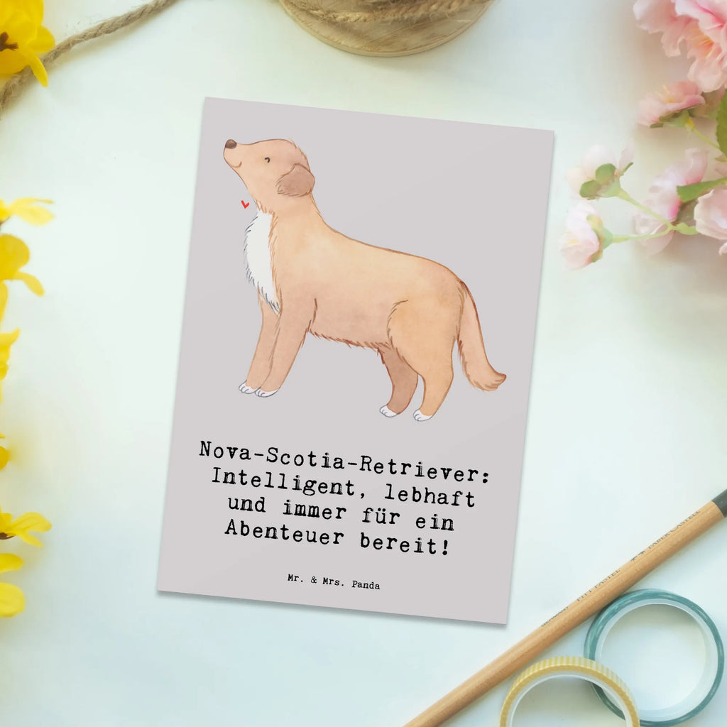 Postcard Nova-Scotia-Retriever: Intelligent, lebhaft und immer für ein Abenteuer bereit! Karte, Grußkarte, Ansichtskarte, Postkarte, Geschenkkarte, Einladungskarten Geburtstag, Ansichtskarten, Geburtstagskarte, Einladungskarte, Dankeskarte, Einladung, Einladung Geburtstag, Hund, Hunderasse, Rassehund, Hundebesitzer, Geschenk, Tierfreund, Schenken, Welpe