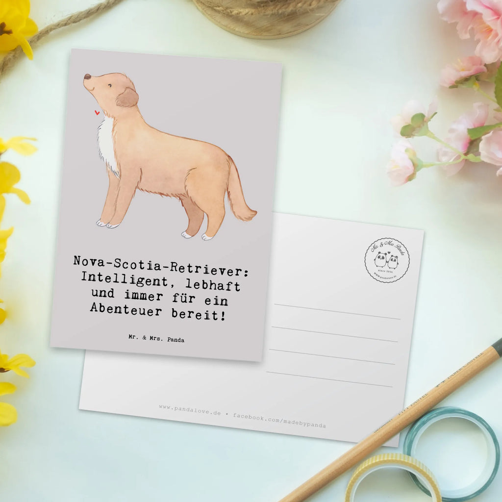 Postcard Nova-Scotia-Retriever: Intelligent, lebhaft und immer für ein Abenteuer bereit! Karte, Grußkarte, Ansichtskarte, Postkarte, Geschenkkarte, Einladungskarten Geburtstag, Ansichtskarten, Geburtstagskarte, Einladungskarte, Dankeskarte, Einladung, Einladung Geburtstag, Hund, Hunderasse, Rassehund, Hundebesitzer, Geschenk, Tierfreund, Schenken, Welpe