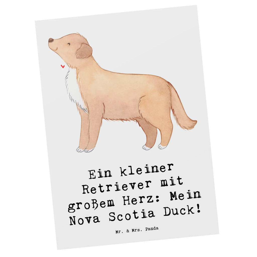 Postkarte Nova Scotia Duck Herz Karte, Ansichtskarten, Einladung Geburtstag, Einladungskarte, Ansichtskarte, Geschenkkarte, Grußkarte, Einladung, Dankeskarte, Einladungskarten Geburtstag, Postkarte, Geburtstagskarte, Hund, Hunderasse, Rassehund, Hundebesitzer, Geschenk, Tierfreund, Schenken, Welpe