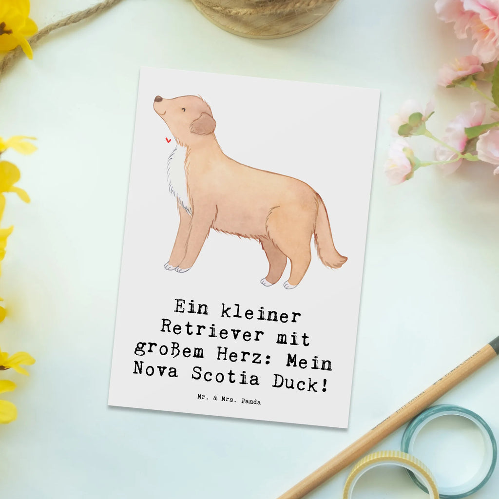 Postkarte Nova Scotia Duck Herz Karte, Ansichtskarten, Einladung Geburtstag, Einladungskarte, Ansichtskarte, Geschenkkarte, Grußkarte, Einladung, Dankeskarte, Einladungskarten Geburtstag, Postkarte, Geburtstagskarte, Hund, Hunderasse, Rassehund, Hundebesitzer, Geschenk, Tierfreund, Schenken, Welpe