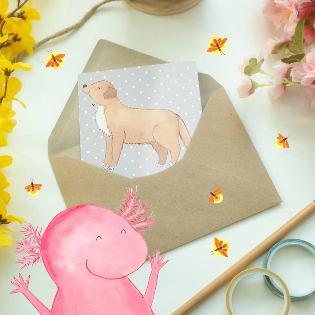 Greetings card Mit einem Nova Scotia Duck Tolling Retriever wird das Leben zum Abenteuer! Ansichtskarten, Geburtstagskarte, Einladungskarte, Grußkarte, Karte, Hochzeitskarte, Klappkarte, Glückwunschkarte, Hund, Hunderasse, Rassehund, Hundebesitzer, Geschenk, Tierfreund, Schenken, Welpe