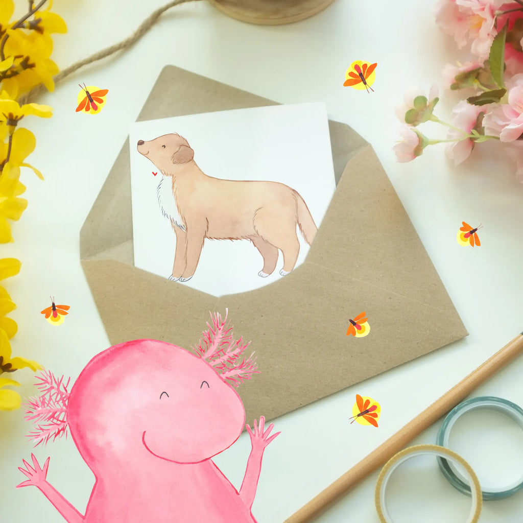 Greetings card Mit einem Nova Scotia Duck Tolling Retriever wird das Leben zum Abenteuer! Ansichtskarten, Geburtstagskarte, Einladungskarte, Grußkarte, Karte, Hochzeitskarte, Klappkarte, Glückwunschkarte, Hund, Hunderasse, Rassehund, Hundebesitzer, Geschenk, Tierfreund, Schenken, Welpe