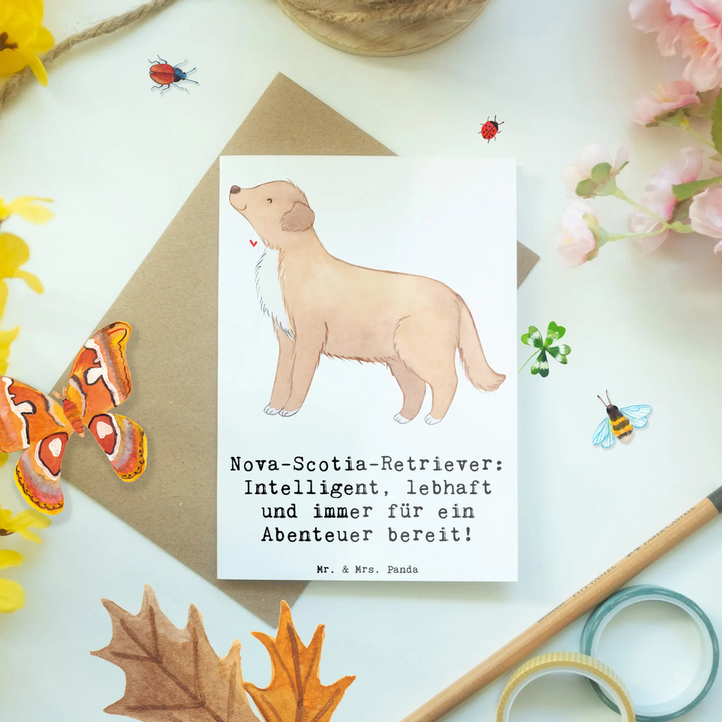 Greetings card Nova-Scotia-Retriever: Intelligent, lebhaft und immer für ein Abenteuer bereit! Geburtstagskarte, Ansichtskarten, Einladungskarte, Grußkarte, Karte, Klappkarte, Hochzeitskarte, Glückwunschkarte, Hund, Hunderasse, Rassehund, Hundebesitzer, Geschenk, Tierfreund, Schenken, Welpe