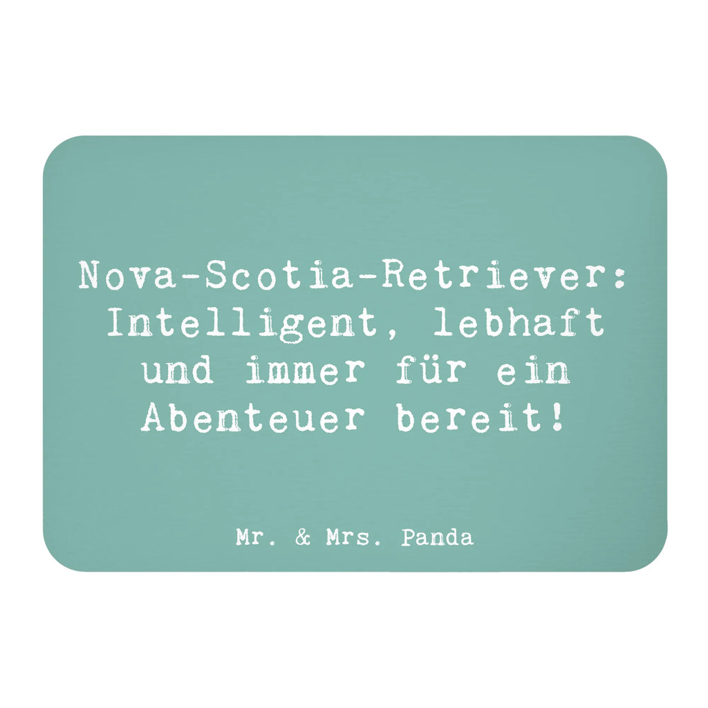 Magnet Saying Nova-Scotia-Retriever: Intelligent, lebhaft und immer für ein Abenteuer bereit! Motivmagnete, Kühlschrankmagnet, Whiteboard Magnet, Dekomagnet, Kühlschrank Dekoration, Souvenir Magnet, Pinnwandmagnet, Notiz Magnet, Hund, Hunderasse, Rassehund, Hundebesitzer, Geschenk, Tierfreund, Schenken, Welpe