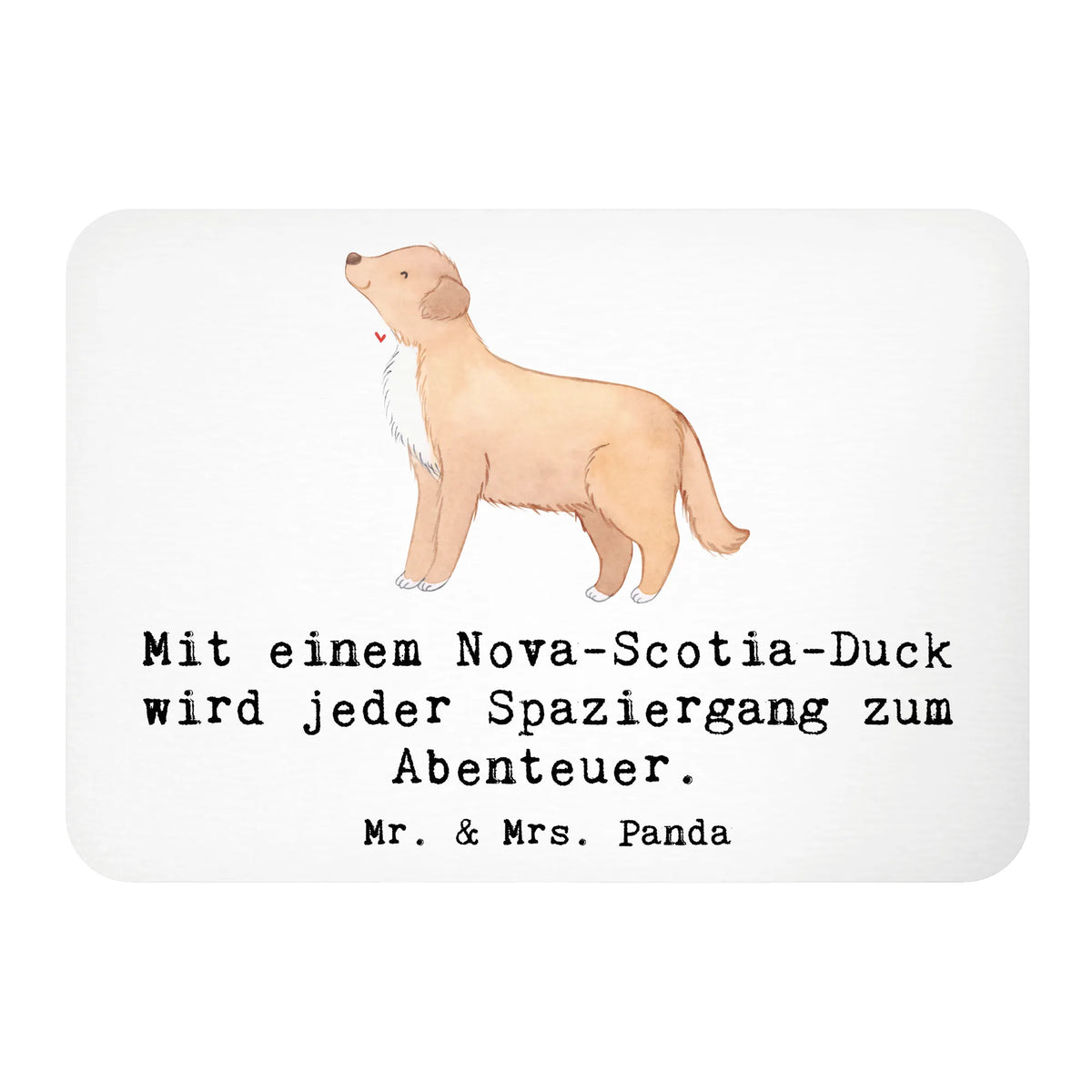 Magnes Mit einem Nova-Scotia-Duck wird jeder Spaziergang zum Abenteuer.
