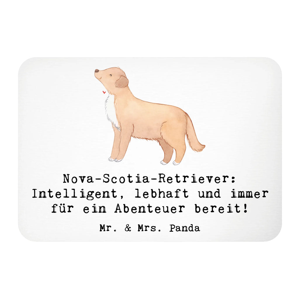 Magnet Nova Scotia Duck Notiz Magnet, Pinnwandmagnet, Souvenir Magnet, Motivmagnete, Whiteboard Magnet, Kühlschrankmagnet, Dekomagnet, Kühlschrank Dekoration, Hund, Hunderasse, Rassehund, Hundebesitzer, Geschenk, Tierfreund, Schenken, Welpe