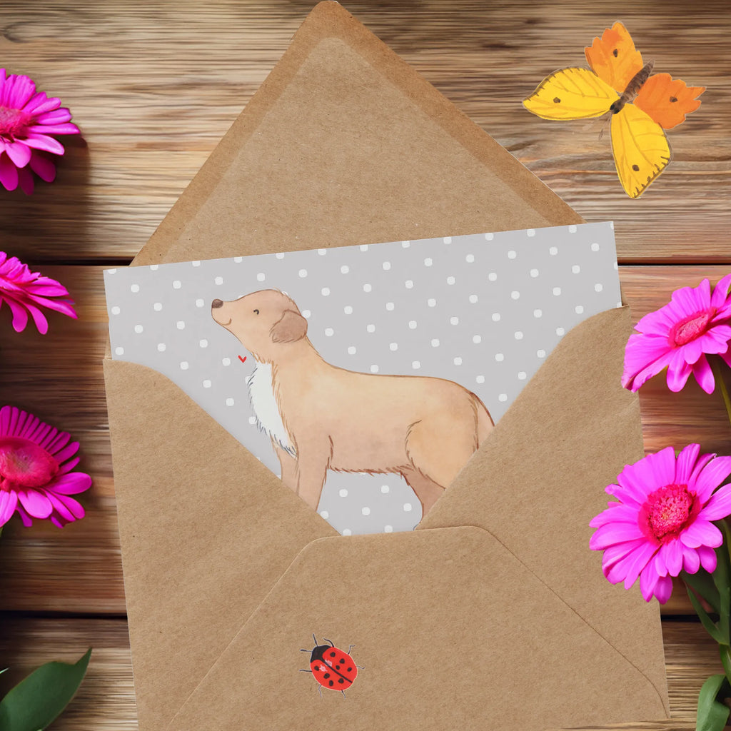 Deluxe Karte Nova Scotia Duck Abenteuer Karte, Grußkarte, Geburtstagskarte, Einladungskarte, Klappkarte, Glückwunschkarte, Hochzeitskarte, Hochwertige Grußkarte, Hochwertige Klappkarte, Hund, Hunderasse, Rassehund, Hundebesitzer, Geschenk, Tierfreund, Schenken, Welpe