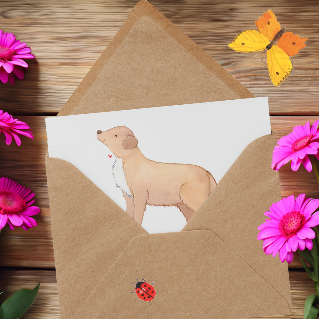 Deluxe Karte Nova Scotia Duck Hochzeitskarte, Karte, Geburtstagskarte, Einladungskarte, Hochwertige Grußkarte, Klappkarte, Hochwertige Klappkarte, Grußkarte, Glückwunschkarte, Hund, Hunderasse, Rassehund, Hundebesitzer, Geschenk, Tierfreund, Schenken, Welpe