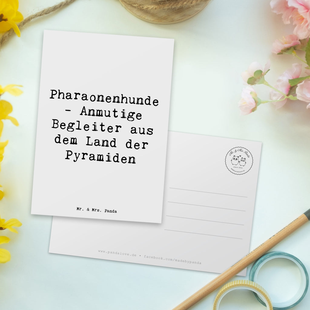 Postcard Saying Pharaonenhunde - Anmutige Begleiter aus dem Land der Pyramiden Ansichtskarte, Einladungskarten Geburtstag, Geschenkkarte, Dankeskarte, Geburtstagskarte, Ansichtskarten, Karte, Einladungskarte, Grußkarte, Postkarte, Einladung, Einladung Geburtstag, Hund, Hunderasse, Rassehund, Hundebesitzer, Geschenk, Tierfreund, Schenken, Welpe