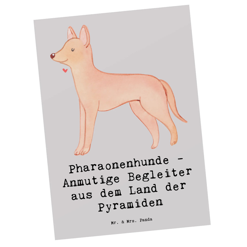 Postcard Pharaonenhunde - Anmutige Begleiter aus dem Land der Pyramiden Geburtstagskarte, Ansichtskarten, Einladung Geburtstag, Karte, Dankeskarte, Einladung, Geschenkkarte, Ansichtskarte, Postkarte, Grußkarte, Einladungskarten Geburtstag, Einladungskarte, Hund, Hunderasse, Rassehund, Hundebesitzer, Geschenk, Tierfreund, Schenken, Welpe