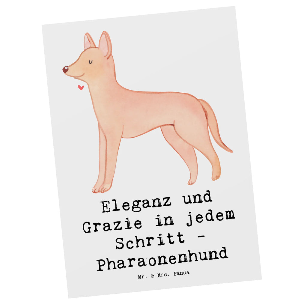 Postcard Eleganz und Grazie in jedem Schritt - Pharaonenhund Postkarte, Grußkarte, Geschenkkarte, Ansichtskarten, Dankeskarte, Einladungskarten Geburtstag, Ansichtskarte, Geburtstagskarte, Einladung, Karte, Einladung Geburtstag, Einladungskarte, Hund, Hunderasse, Rassehund, Hundebesitzer, Geschenk, Tierfreund, Schenken, Welpe