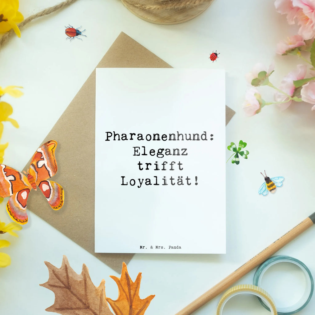 Greetings card Saying Pharaonenhund: Eleganz trifft Loyalität! Grußkarte, Karte, Klappkarte, Geburtstagskarte, Ansichtskarten, Hochzeitskarte, Glückwunschkarte, Einladungskarte, Hund, Hunderasse, Rassehund, Hundebesitzer, Geschenk, Tierfreund, Schenken, Welpe