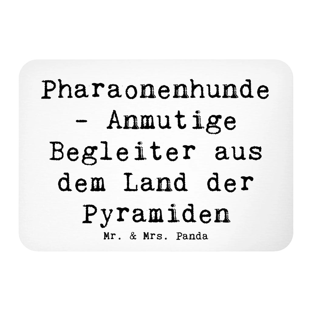 Magnet Spruch Pharaonenhund Freunde Pinnwandmagnet, Kühlschrankmagnet, Notiz Magnet, Motivmagnete, Kühlschrank Dekoration, Souvenir Magnet, Dekomagnet, Whiteboard Magnet, Hund, Hunderasse, Rassehund, Hundebesitzer, Geschenk, Tierfreund, Schenken, Welpe