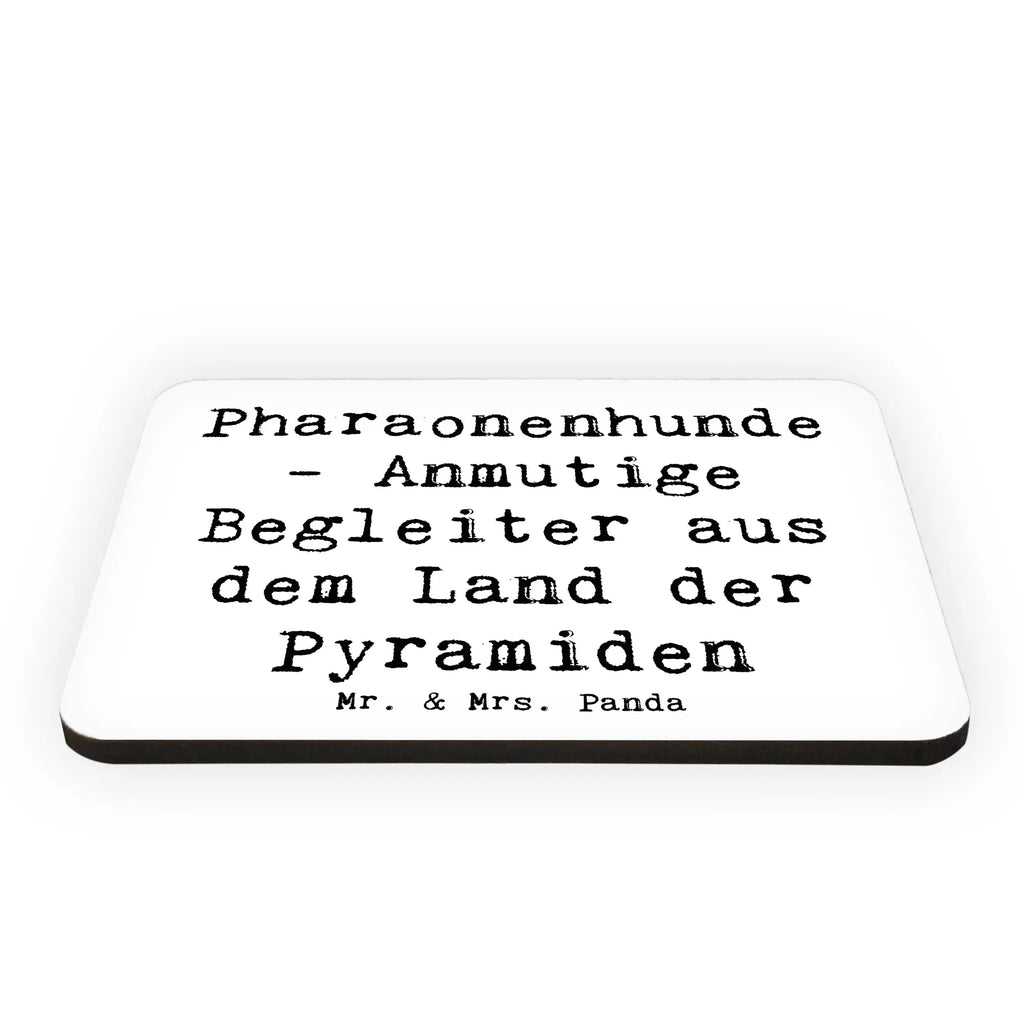 Magnet Spruch Pharaonenhund Freunde Pinnwandmagnet, Kühlschrankmagnet, Notiz Magnet, Motivmagnete, Kühlschrank Dekoration, Souvenir Magnet, Dekomagnet, Whiteboard Magnet, Hund, Hunderasse, Rassehund, Hundebesitzer, Geschenk, Tierfreund, Schenken, Welpe