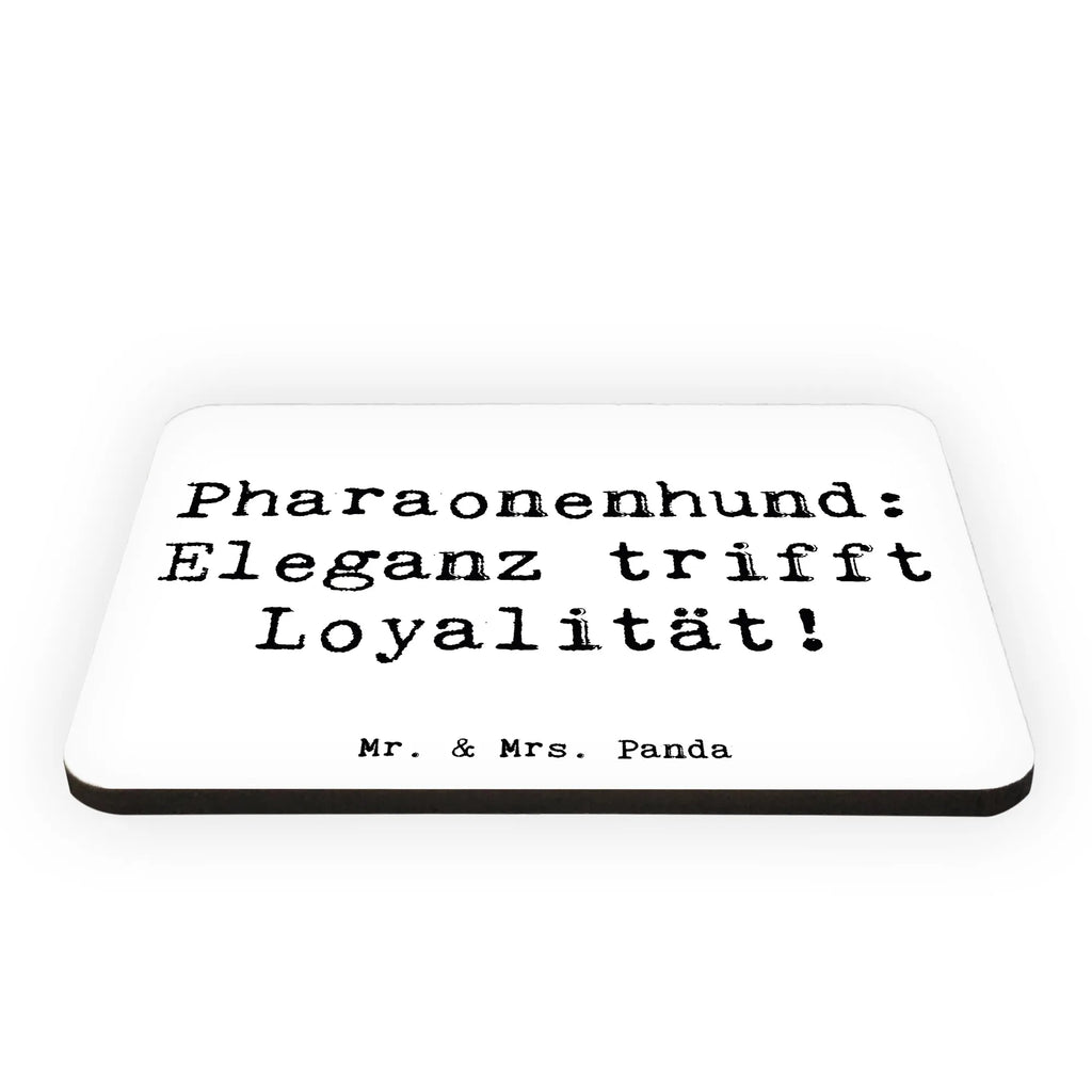 Magnet Spruch Pharaonenhund Eleganz Souvenir Magnet, Whiteboard Magnet, Dekomagnet, Kühlschrank Dekoration, Motivmagnete, Kühlschrankmagnet, Notiz Magnet, Pinnwandmagnet, Hund, Hunderasse, Rassehund, Hundebesitzer, Geschenk, Tierfreund, Schenken, Welpe