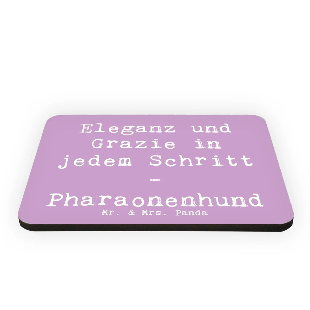 Magnet Saying Eleganz und Grazie in jedem Schritt - Pharaonenhund Kühlschrank Dekoration, Motivmagnete, Notiz Magnet, Whiteboard Magnet, Pinnwandmagnet, Dekomagnet, Souvenir Magnet, Kühlschrankmagnet, Hund, Hunderasse, Rassehund, Hundebesitzer, Geschenk, Tierfreund, Schenken, Welpe