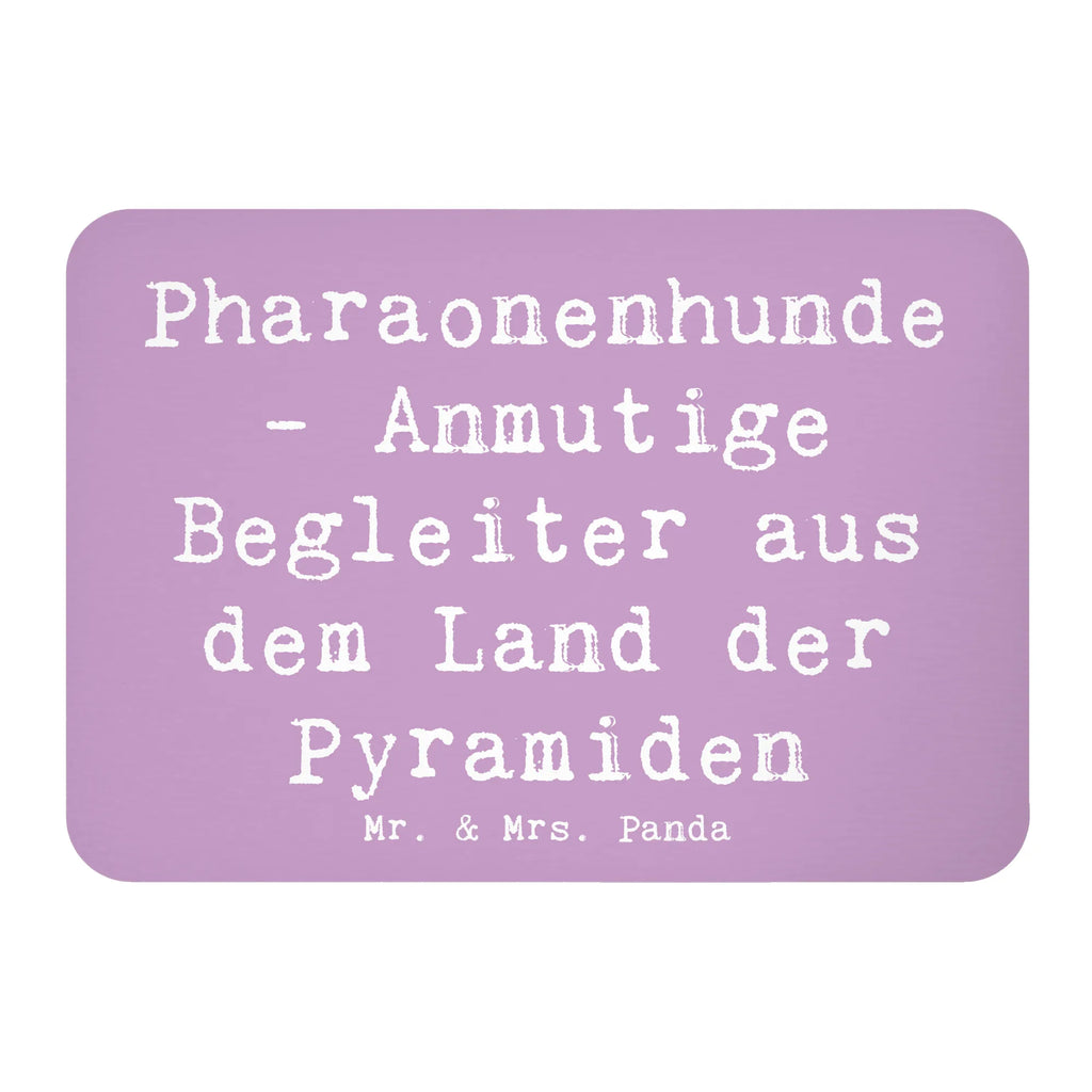 Magnet Spruch Pharaonenhund Freunde Pinnwandmagnet, Kühlschrankmagnet, Notiz Magnet, Motivmagnete, Kühlschrank Dekoration, Souvenir Magnet, Dekomagnet, Whiteboard Magnet, Hund, Hunderasse, Rassehund, Hundebesitzer, Geschenk, Tierfreund, Schenken, Welpe