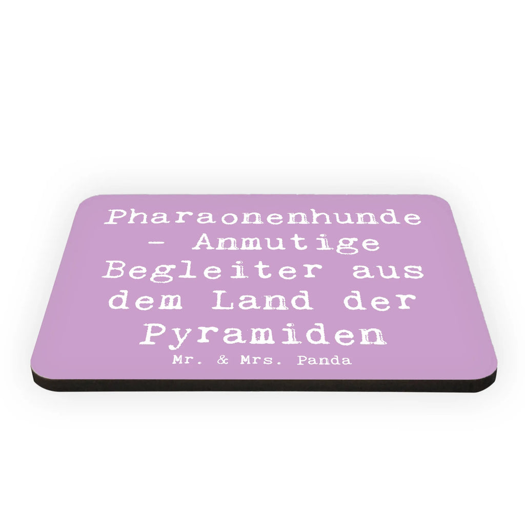 Magnet Spruch Pharaonenhund Freunde Pinnwandmagnet, Kühlschrankmagnet, Notiz Magnet, Motivmagnete, Kühlschrank Dekoration, Souvenir Magnet, Dekomagnet, Whiteboard Magnet, Hund, Hunderasse, Rassehund, Hundebesitzer, Geschenk, Tierfreund, Schenken, Welpe