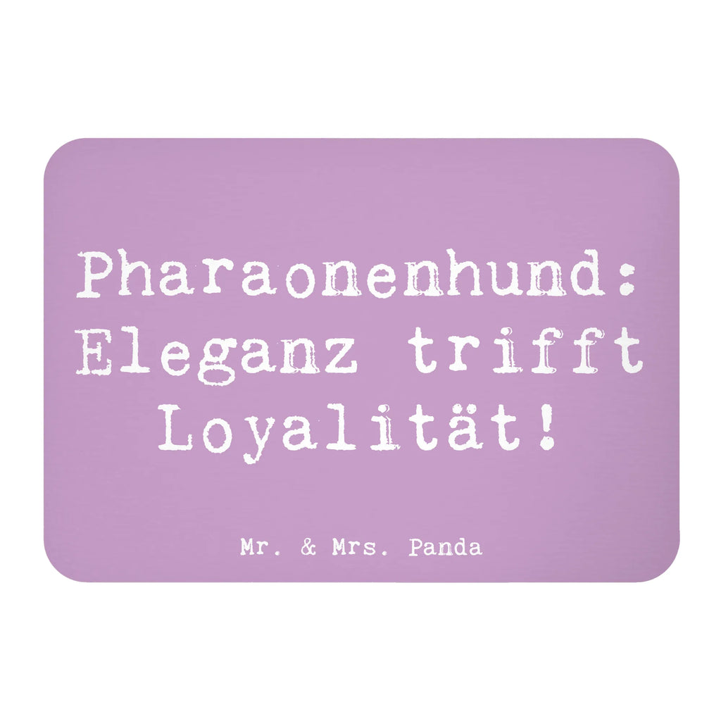 Magnet Spruch Pharaonenhund Eleganz Souvenir Magnet, Whiteboard Magnet, Dekomagnet, Kühlschrank Dekoration, Motivmagnete, Kühlschrankmagnet, Notiz Magnet, Pinnwandmagnet, Hund, Hunderasse, Rassehund, Hundebesitzer, Geschenk, Tierfreund, Schenken, Welpe