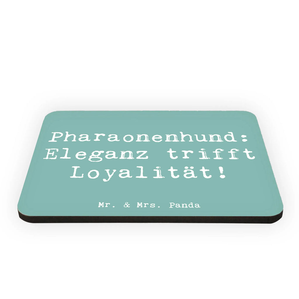 Magnet Spruch Pharaonenhund Eleganz Souvenir Magnet, Whiteboard Magnet, Dekomagnet, Kühlschrank Dekoration, Motivmagnete, Kühlschrankmagnet, Notiz Magnet, Pinnwandmagnet, Hund, Hunderasse, Rassehund, Hundebesitzer, Geschenk, Tierfreund, Schenken, Welpe