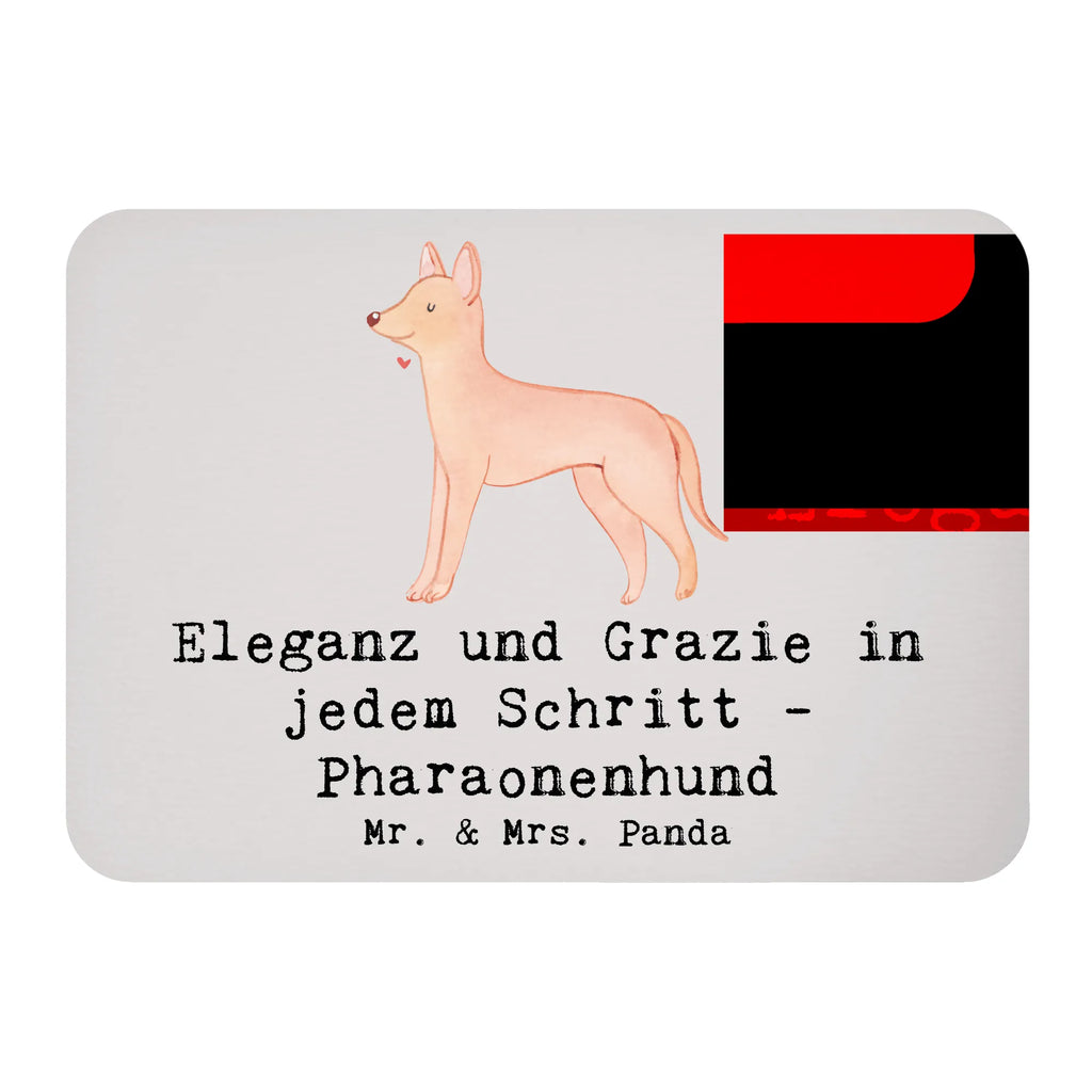 Magnet Eleganter Pharaonenhund Pinnwandmagnet, Dekomagnet, Motivmagnete, Notiz Magnet, Kühlschrank Dekoration, Whiteboard Magnet, Kühlschrankmagnet, Souvenir Magnet, Hund, Hunderasse, Rassehund, Hundebesitzer, Geschenk, Tierfreund, Schenken, Welpe