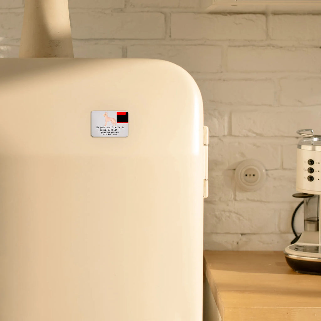 Magnet Eleganter Pharaonenhund Pinnwandmagnet, Dekomagnet, Motivmagnete, Notiz Magnet, Kühlschrank Dekoration, Whiteboard Magnet, Kühlschrankmagnet, Souvenir Magnet, Hund, Hunderasse, Rassehund, Hundebesitzer, Geschenk, Tierfreund, Schenken, Welpe