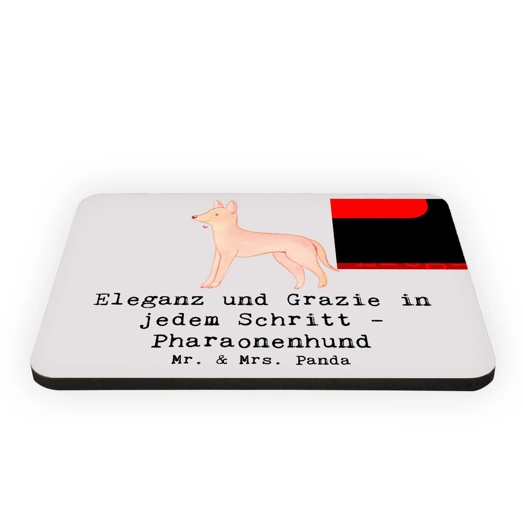 Magnet Eleganter Pharaonenhund Pinnwandmagnet, Dekomagnet, Motivmagnete, Notiz Magnet, Kühlschrank Dekoration, Whiteboard Magnet, Kühlschrankmagnet, Souvenir Magnet, Hund, Hunderasse, Rassehund, Hundebesitzer, Geschenk, Tierfreund, Schenken, Welpe