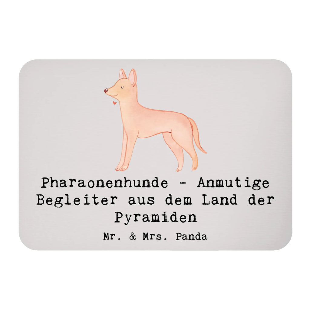 Magnet Pharaonenhunde - Anmutige Begleiter aus dem Land der Pyramiden Kühlschrankmagnet, Pinnwandmagnet, Dekomagnet, Kühlschrank Dekoration, Whiteboard Magnet, Motivmagnete, Souvenir Magnet, Notiz Magnet, Hund, Hunderasse, Rassehund, Hundebesitzer, Geschenk, Tierfreund, Schenken, Welpe