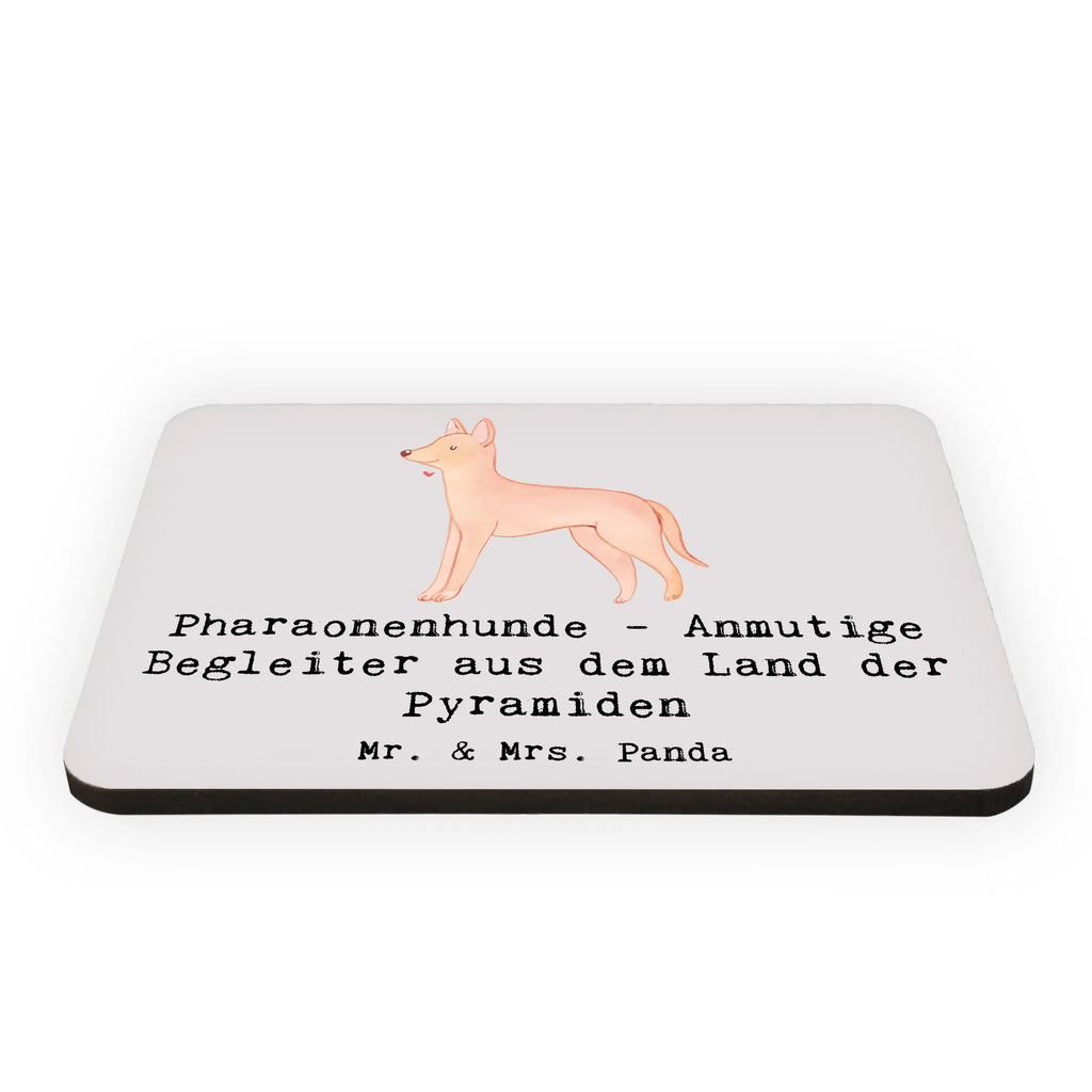 Magnet Pharaonenhunde - Anmutige Begleiter aus dem Land der Pyramiden Kühlschrankmagnet, Pinnwandmagnet, Dekomagnet, Kühlschrank Dekoration, Whiteboard Magnet, Motivmagnete, Souvenir Magnet, Notiz Magnet, Hund, Hunderasse, Rassehund, Hundebesitzer, Geschenk, Tierfreund, Schenken, Welpe