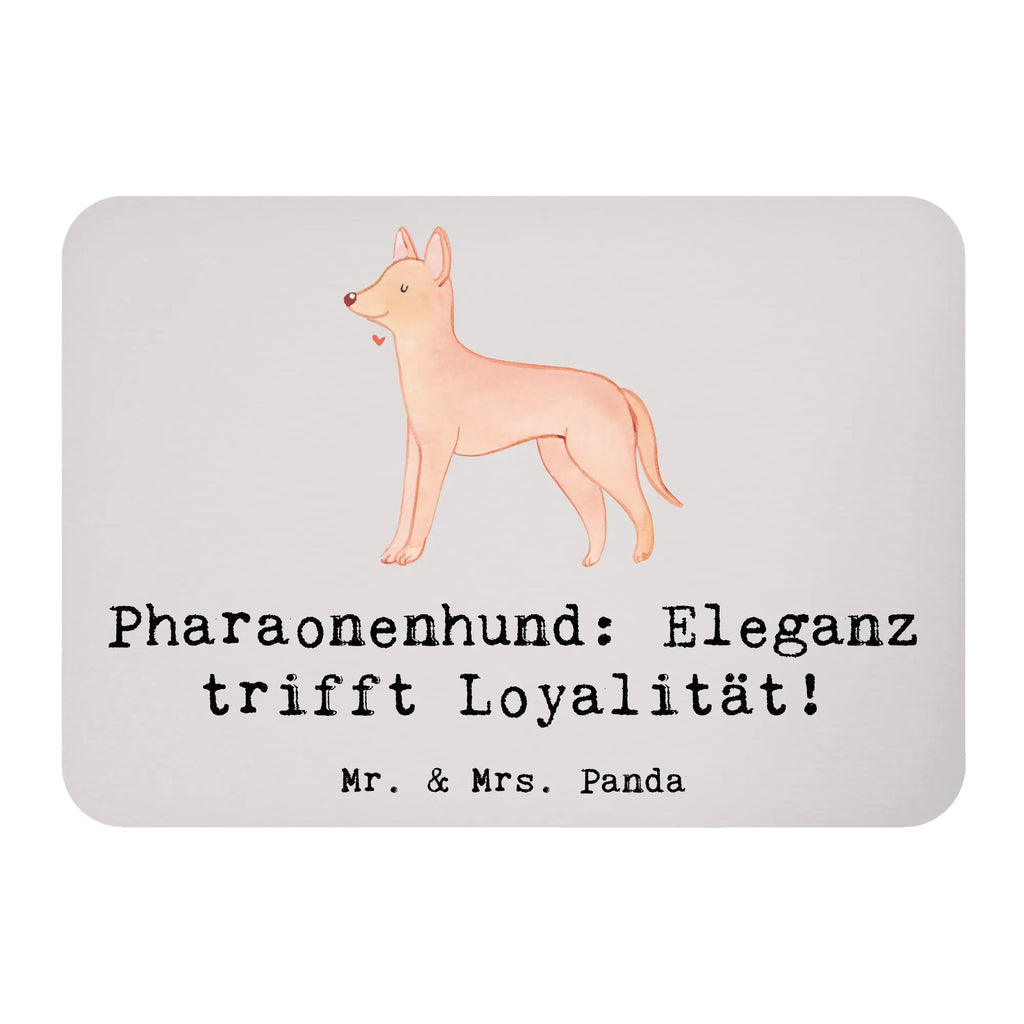 Magnet Pharaonenhund: Eleganz trifft Loyalität! Pinnwandmagnet, Motivmagnete, Notiz Magnet, Kühlschrankmagnet, Dekomagnet, Kühlschrank Dekoration, Whiteboard Magnet, Souvenir Magnet, Hund, Hunderasse, Rassehund, Hundebesitzer, Geschenk, Tierfreund, Schenken, Welpe
