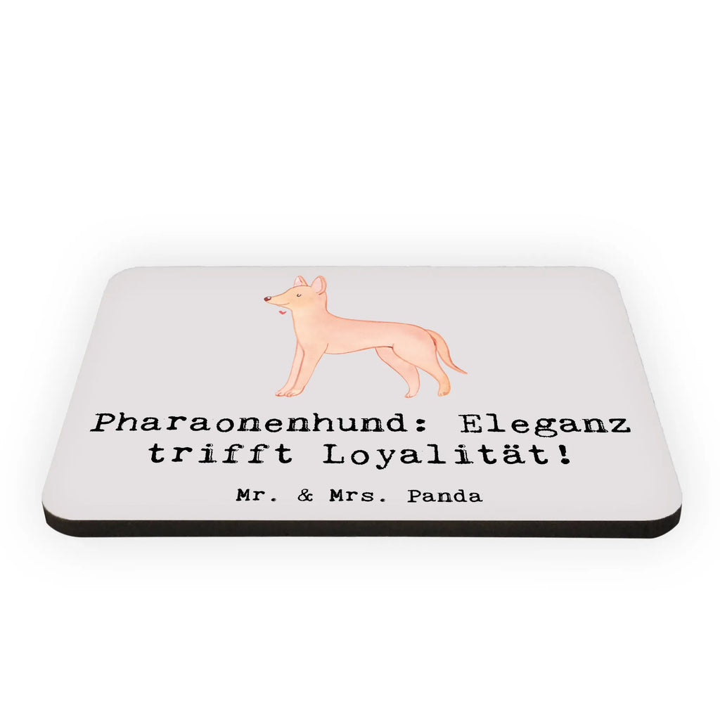 Magnet Pharaonenhund: Eleganz trifft Loyalität! Pinnwandmagnet, Motivmagnete, Notiz Magnet, Kühlschrankmagnet, Dekomagnet, Kühlschrank Dekoration, Whiteboard Magnet, Souvenir Magnet, Hund, Hunderasse, Rassehund, Hundebesitzer, Geschenk, Tierfreund, Schenken, Welpe