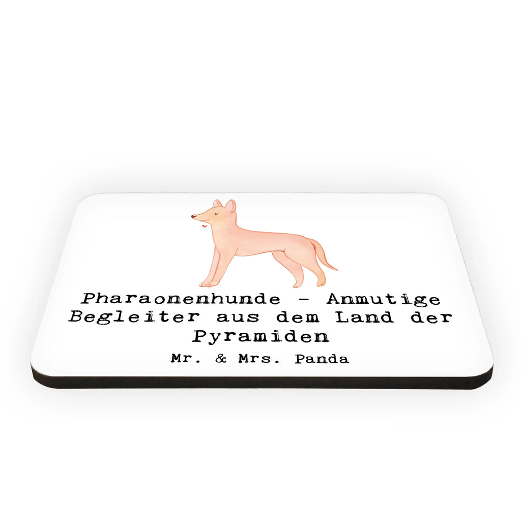 Magnet Pharaonenhunde - Anmutige Begleiter aus dem Land der Pyramiden Kühlschrankmagnet, Pinnwandmagnet, Dekomagnet, Kühlschrank Dekoration, Whiteboard Magnet, Motivmagnete, Souvenir Magnet, Notiz Magnet, Hund, Hunderasse, Rassehund, Hundebesitzer, Geschenk, Tierfreund, Schenken, Welpe