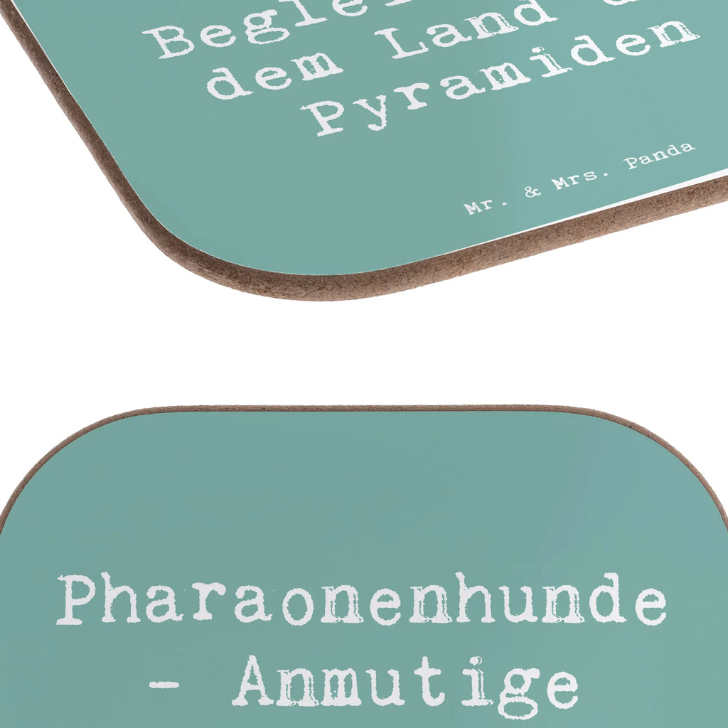 Square coaster Saying Pharaonenhunde - Anmutige Begleiter aus dem Land der Pyramiden Untersetzer aus Holz, Untersetzer Holz, Holzuntersetzer, Glasuntersetzer, Untersetzer, Bierdeckel, Untersetzer Gläser, Untersetzer Design, Getränkeuntersetzer, Korkuntersetzer, Tassen Untersetzer, Untersetzer für Gläser, Hund, Hunderasse, Rassehund, Hundebesitzer, Geschenk, Tierfreund, Schenken, Welpe