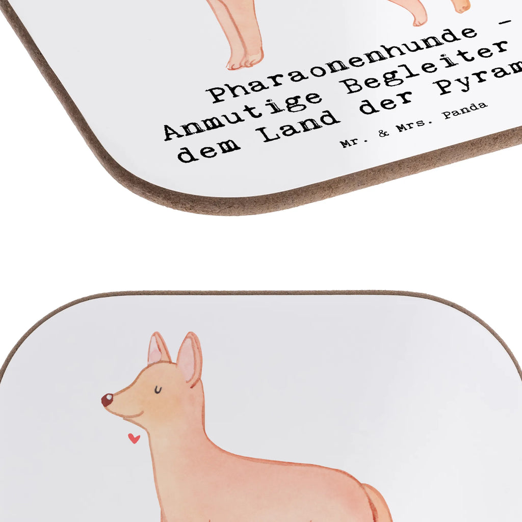 Square coaster Pharaonenhunde - Anmutige Begleiter aus dem Land der Pyramiden Untersetzer aus Holz, Untersetzer Gläser, Untersetzer für Gläser, Glasuntersetzer, Getränkeuntersetzer, Korkuntersetzer, Untersetzer Holz, Untersetzer Design, Untersetzer, Tassen Untersetzer, Holzuntersetzer, Bierdeckel, Hund, Hunderasse, Rassehund, Hundebesitzer, Geschenk, Tierfreund, Schenken, Welpe