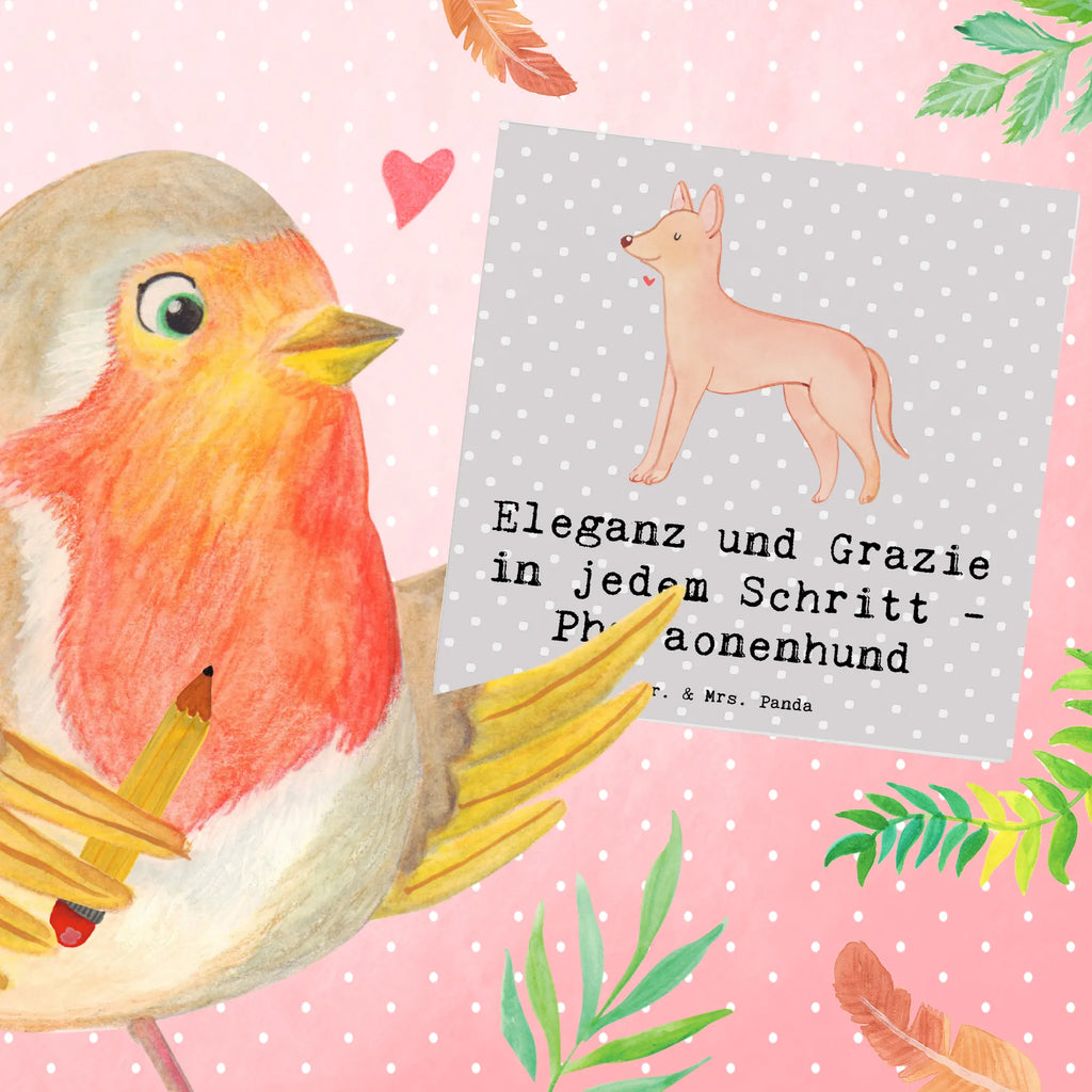 Deluxe Card Eleganz und Grazie in jedem Schritt - Pharaonenhund Glückwunschkarte, Hochwertige Grußkarte, Karte, Einladungskarte, Hochwertige Klappkarte, Geburtstagskarte, Grußkarte, Klappkarte, Hochzeitskarte, Hund, Hunderasse, Rassehund, Hundebesitzer, Geschenk, Tierfreund, Schenken, Welpe