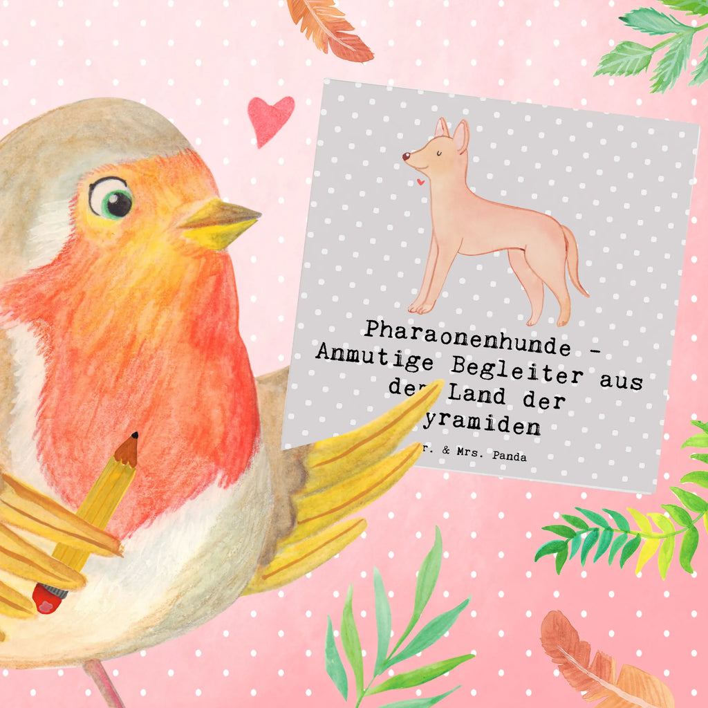 Deluxe Card Pharaonenhunde - Anmutige Begleiter aus dem Land der Pyramiden Klappkarte, Glückwunschkarte, Hochzeitskarte, Grußkarte, Hochwertige Klappkarte, Geburtstagskarte, Hochwertige Grußkarte, Karte, Einladungskarte, Hund, Hunderasse, Rassehund, Hundebesitzer, Geschenk, Tierfreund, Schenken, Welpe