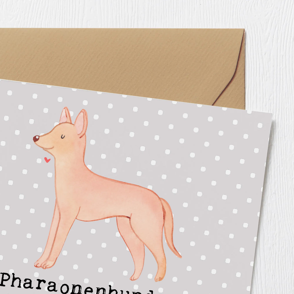 Deluxe Card Pharaonenhunde - Anmutige Begleiter aus dem Land der Pyramiden Klappkarte, Glückwunschkarte, Hochzeitskarte, Grußkarte, Hochwertige Klappkarte, Geburtstagskarte, Hochwertige Grußkarte, Karte, Einladungskarte, Hund, Hunderasse, Rassehund, Hundebesitzer, Geschenk, Tierfreund, Schenken, Welpe
