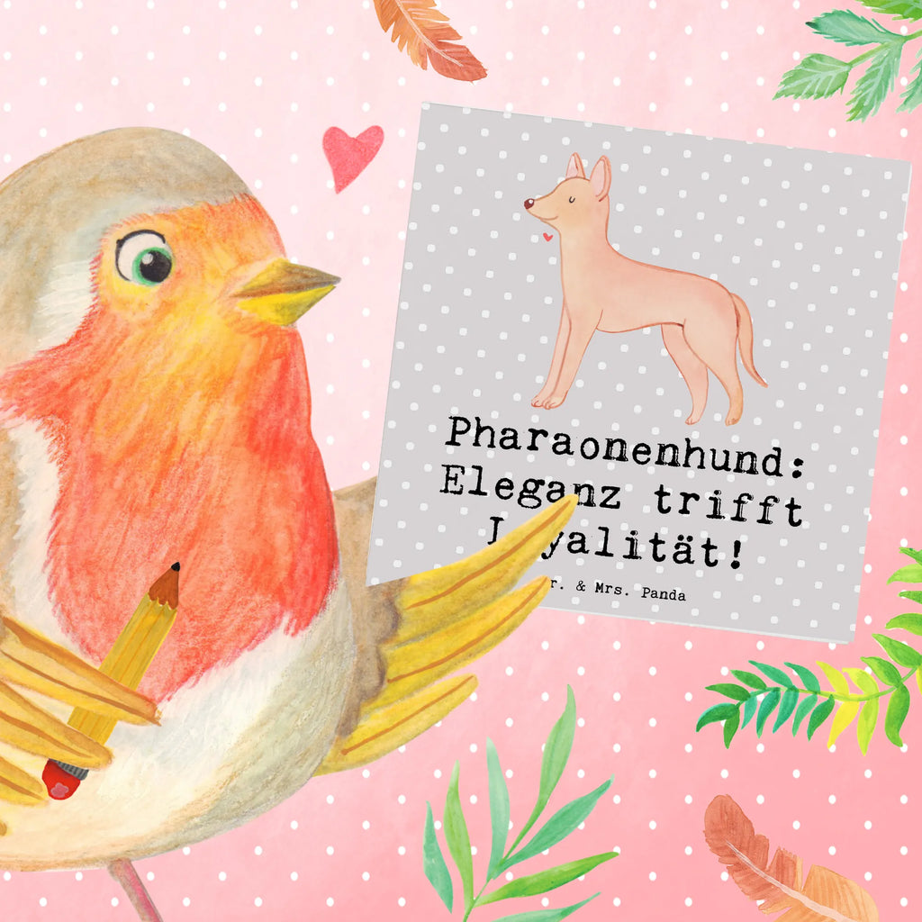 Deluxe Karte Pharaonenhund Eleganz Grußkarte, Karte, Klappkarte, Einladungskarte, Geburtstagskarte, Glückwunschkarte, Hochwertige Grußkarte, Hochwertige Klappkarte, Hochzeitskarte, Hund, Hunderasse, Rassehund, Hundebesitzer, Geschenk, Tierfreund, Schenken, Welpe