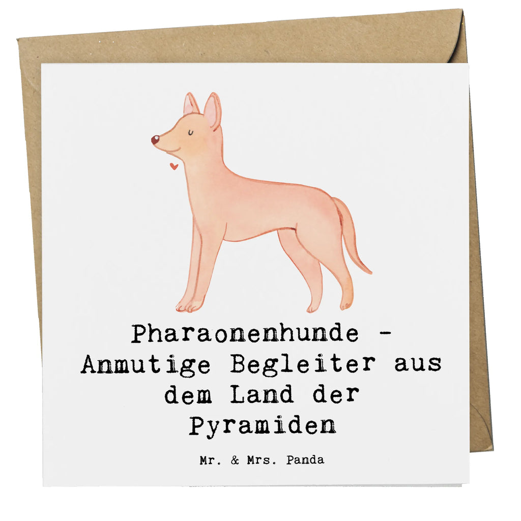 Deluxe Card Pharaonenhunde - Anmutige Begleiter aus dem Land der Pyramiden Klappkarte, Glückwunschkarte, Hochzeitskarte, Grußkarte, Hochwertige Klappkarte, Geburtstagskarte, Hochwertige Grußkarte, Karte, Einladungskarte, Hund, Hunderasse, Rassehund, Hundebesitzer, Geschenk, Tierfreund, Schenken, Welpe
